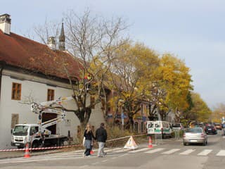 V Ružomberku začali s výrubom stromov – práce priniesli dopravné obmedzenia na ceste I/18