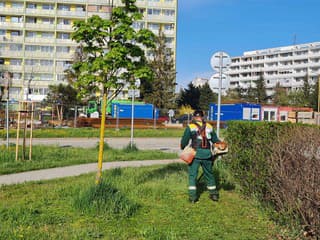 Košice dočasne zastavili kosenie verejných plôch: Horúčavy ničia trávniky a hrozí požiar
