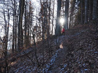 Silvestrovský výstup na Poľanu prilákal stovky turistov: Krásne počasie a tradičná atmosféra