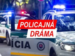 VEĽKÁ POLICAJNÁ DRÁMA v meste: Policajti nemali na výber, museli strieľať! Šokujúce detaily