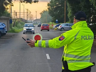 Nezastavil polícii a narazil do stromu: Vodič v okrese Malacky mal zákaz šoférovať