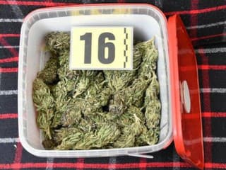 Polícia zasahovala v Dunajskej Strede: U drogového dílera našli konope aj metamfetamín