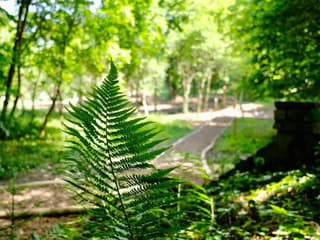 Zechenterova záhrada v Kremnici čaká kompletná obnova – prídu nové ihrisko, fontána aj alej
