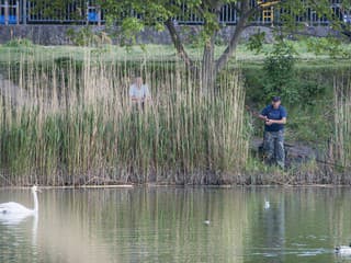 Bratislava pripravuje rozsiahlu revitalizáciu okolia jazera Rohlík aj s pamätníkom obetí COVID-19