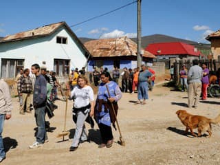 Dráma v Kolárove: Veterinári odobrali deväť psov z osady po kontrole a zákaze chovu