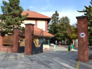 V Košiciach odštartovala detská univerzita UVLF: Malí študenti zažijú svet zvierat aj farmácie