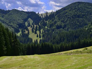 V doline Tiesňava v Slovenskom raji obnovili turistické značenie