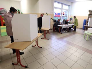 Referendum o predčasných voľbách zneužívajú strany na politický boj, tvrdí politológ