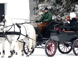 Hriňová zažila zimnú furmanskú súťaž: Silné kone, tradície a zabíjačkové špeciality pritiahli ľudí
