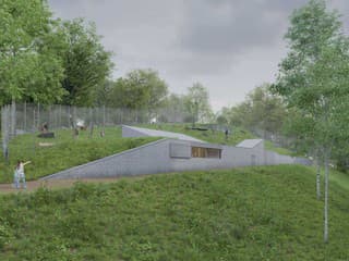 Bratislavská zoo má výnimočné obdobie: Zažíva ťaví baby boom