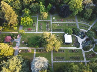V Bratislave sa začína výstava kaktusov: V Botanickej záhrade UK uvidíte vzácne rastliny