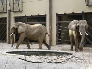 Najnavštevovanejšie miesta v Trenčianskom kraji: Vlani viedla zoo Bojnice, tisícky lákali aj hrady a Bradlo