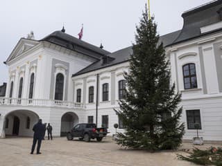 Našli muža, ktorý sa chcel podpáliť pred Prezidentským palácom