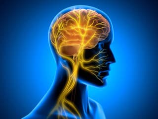 Týždeň mozgu: Ako podporiť zdravie mozgu a znížiť riziko ochorení v každom veku?