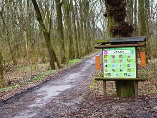Nové Zámky investujú do obnovy obľúbeného chodníka Berek – Zúgov: Prvá etapa už má zelenú