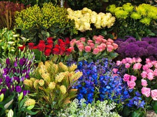 Prievidza chystá veľký kvetinový trh s novým programom, predajcovia sa môžu hlásiť