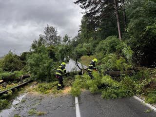 Silné búrky a vietor spôsobili problémy: Hasiči zasahovali vo viacerých krajoch, padali stromy aj zatápalo