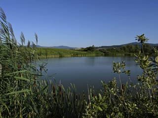 Obnova mokradí na Zemplíne: Pribudne voda v Senianskych rybníkoch aj na Tise