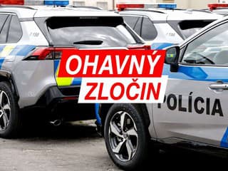 OHAVNÝ ZLOČIN Majiteľ mal živého psa zhodiť do studne, neprežil Šokujúce zistenia a FOTO z miesta činu