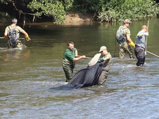 Dobrovoľníci opäť vyčistia rieku Hron pri Hronskom Beňadiku od odpadu – zapoja sa aj vodáci a ochranári