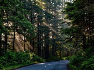Handlovské lesy chystajú nový turistický chodník: Pribudne trasa s krásnymi výhľadmi aj prírodou