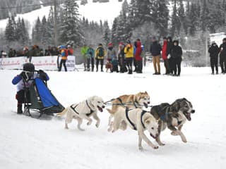 Veľká cena Ľadovej: Preteky psích záprahov pri Dobšinskej ľadovej jaskyni lákajú aj sprievodným programom
