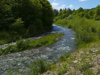 Unikátna revitalizácia: Zničenú nivu potoka v Slovenskom raji premenili na divočinu