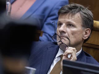 SaS spúšťa Radar proti rozkrádaniu: Každý týždeň odhalia nové prípady plytvania verejnými peniazmi