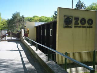 Košická zoo oslavuje: Osemročná Milanka z Ukrajiny je stotisícou návštevníčkou v jubilejnej 40. sezóne