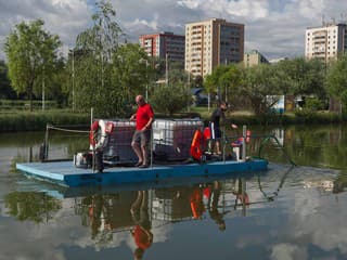Na obľúbenom jazere RÚVZ zakázal kúpanie. Hygienici vo vode objavili nebezpečné sinice