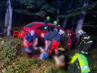 FOTO Mimoriadne vážna nehoda: 18-ročná šoférka havarovala vo vysokej rýchlosti. Hlásia až 5 ranených!