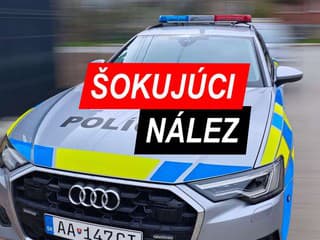ŠOKUJÚCI NÁLEZ Vyslali množstvo policajtov, našli časti mŕtveho tela! Mrazivé detaily, spustili vyšetrovanie