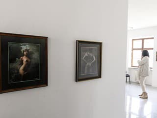 Silvestrovská vernisáž v Michalovciach: Výnimočná výstava k 60. výročiu Zemplínskej Šíravy a ocenenia za spoluprácu