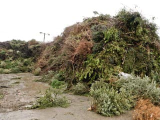 V Bratislave opäť pribudlo 730 drevených ohrádok na vianočné stromčeky – čaká ich druhý život ako knižnice a mulč