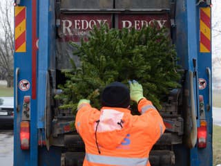 Dolný Kubín spustil ekologický zber vianočných stromčekov: Kam ich správne odložiť po sviatkoch?