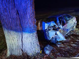 TRAGICKÁ NEHODA pri Bardejovských Kúpeľoch: 65-ročný vodič narazil do stromu a zomrel