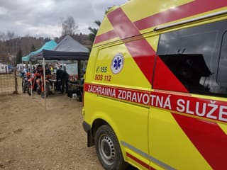 Záchranári vlani zasahovali pri viac ako 11-tisíc prípadoch epilepsie_ Pripomínajú zásady prvej pomoci