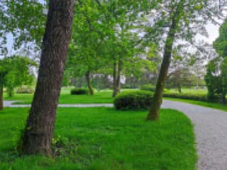 Prešov čakajú veľké zmeny: Začína obnova zelene, nové stromy aj kvitnúce záhony v centre