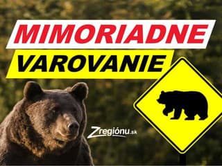 VAROVANIE Až 4 medvede v obľúbenej lokalite mnohých ľudí! TOMUTO miestu sa úplne vyhnite