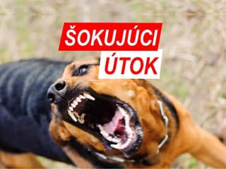 KRVAVÝ ÚTOK Pes napadol tehotnú ženu, jej píska roztrhol na smrť. Mrazivé SVEDECTVO, varujú ostatných