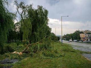 Obrovské škody po búrke v Belianskych Tatrách: Lesy Spišskej Belej stále bojujú s následkami povodne