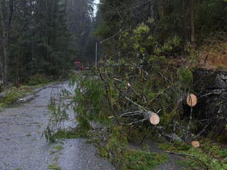 Lipany stále bojujú s následkami veternej smršte: Poškodené domy, evakuovaná rodina aj zničené stromy