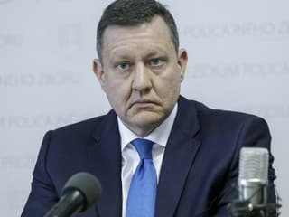 Najvyšší správny súd uznal Lipšica za vinného z jedného skutku, dostal písomné pokarhanie