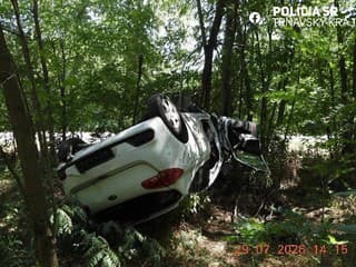 Vážna nehoda medzi Kopčanmi a Gbelmi: Vodiča po zrážke so srnou previezol vrtuľník do nemocnice