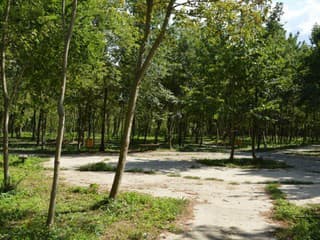 Skalica začala s veľkou obnovou lesoparku Hájek: Pribudnú nové chodníky aj ihriská pre deti