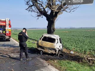 Polícia v Trnavskom kraji: 20 nehôd za týždeň, 14 zranených a alkohol za volantom