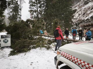 Dráma v Žiarskej doline: FOTO Padajúci strom zranil štyroch turistov, zasahovali horskí záchranári