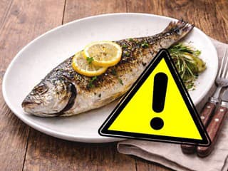 UPOZORNENIE ÚRADU Tieto RYBY nejedzte! Obsahujú mimoriadne škodlivé látky, spôsobujú RAKOVINU