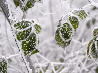 Nočný mráz na severe a strednom Slovensku: SHMÚ varuje pred teplotami až do -17 °C