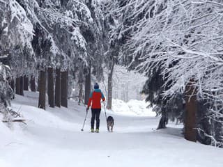 Na Skalku pri Kremnici premáva počas prázdnin denne minibus aj autobus